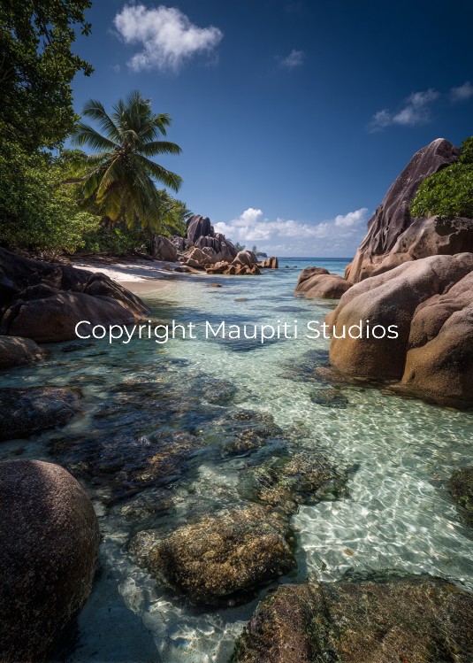 Maupiti Studios and Agency